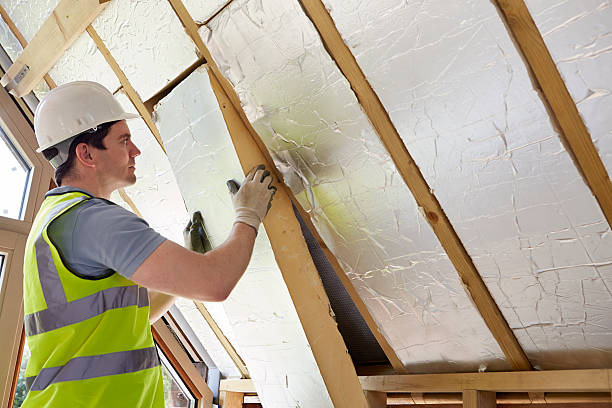 Best Insulation Maintenance and Repair in Tyndall, SD